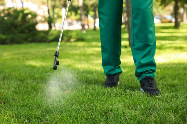 Best Pest Prevention Services  in Picture Rocks, AZ