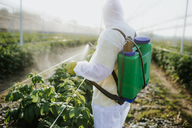 Best Emergency Pest Control  in Picture Rocks, AZ